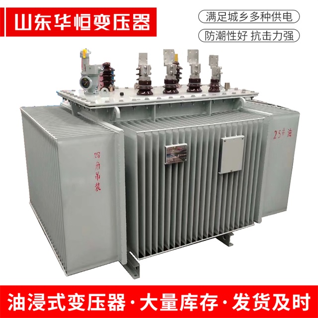 S13-10000/35望奎望奎望奎电力变压器厂家
