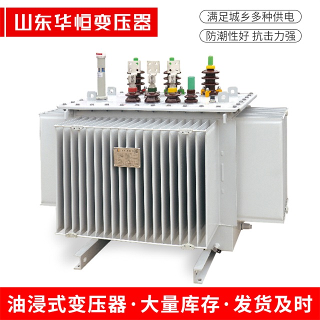 S13-10000/35望奎望奎望奎电力变压器