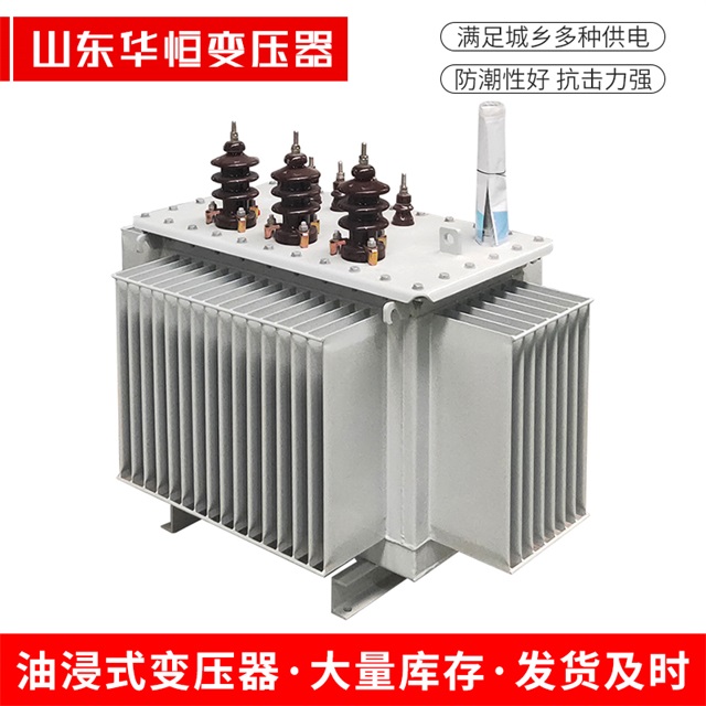 S13-10000/35望奎望奎望奎油浸式变压器厂家